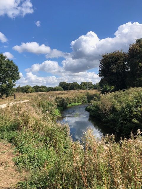 river Meden